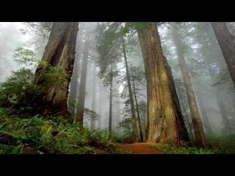 Canción a la tierra Canción a la tierra