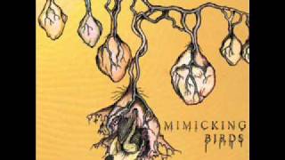 New Doomsdays - Mimicking Birds