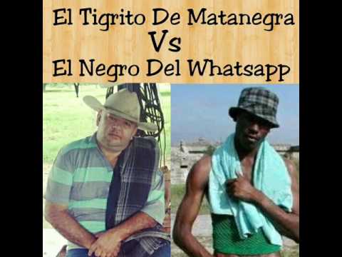 Jesus Daniel Quintero El Tigrito De Matanegra - El Negro Del Whatsapp