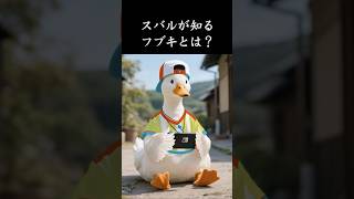 実写版大空スバル その四  #大空スバル  #白上フブキ #aianimation