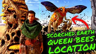 Queen Bee Location on SCORCHED EARTH in Ark Survival Ascended!! How To GET LOADS OF HONEY in ASA!!