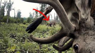What They Do When No One's Watching? I set a Camera to find out!