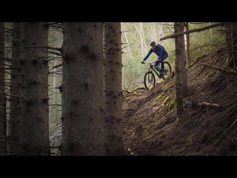 Bird Safari - Followcam Friday S2E03