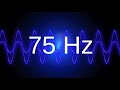 75 Hz clean pure sine wave BASS TEST TONE