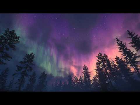 Schlafe zu Psalm 59 ein – Bischof T.D. Jakes hilft dir, unter Gottes Schutz zu schlafen | Tag 59 ...