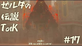 【ゼルダの伝説 ティアーズオブザキングダム】あ、あんたのために偽ゼルダ用意してあげたんだからねっ【17】
