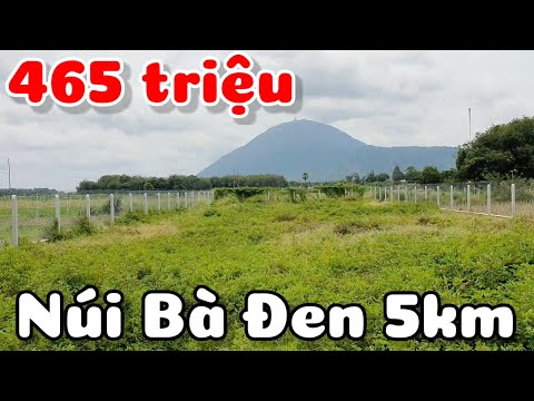 Bán đất 16,5x62 có rào B40 giá rẻ 465 triệu cách đường nhựa 100m trường học 300m ở Tân Phú Tây Ninh
