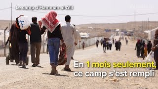 Le camp d’Hammam al-Alil 2 a atteint sa pleine capacité en moins d’un mois