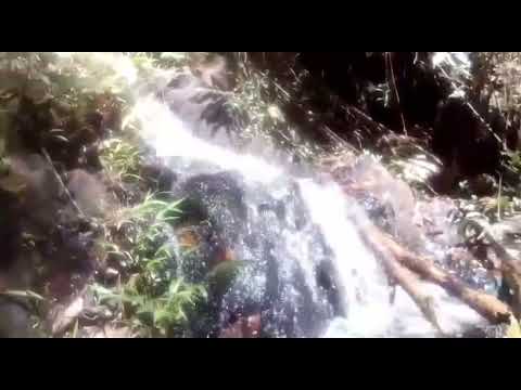 Joel Erazo - Agradecido ( video Oficial )