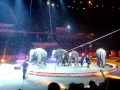 Circus 4 Elephants