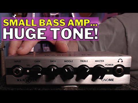 Best Bass Amp Head For The Money | Warwick Gnome