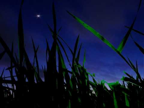 Out in Space { The Boy With No Name } by Travis