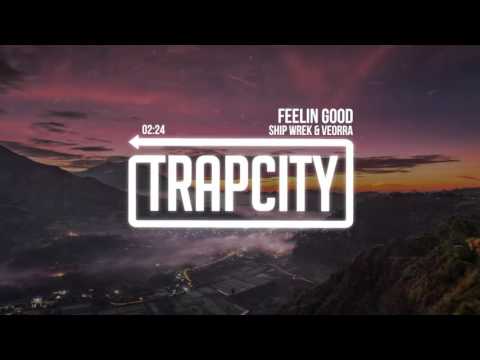 Ship Wrek & Veorra - Feelin Good 【1 HOUR】