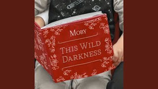 This Wild Darkness (Edit)