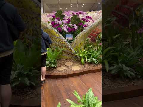 経営学科 チャンギ空港はやっぱりいいなぁ