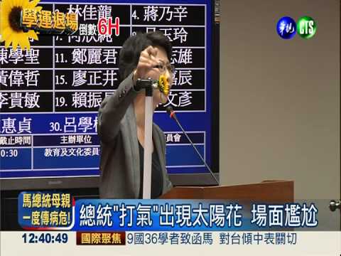 綠委砲轟龍應台 學運話題當質詢