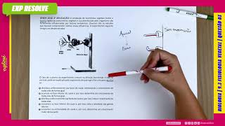 Enem A Produção De Hormonios Vegetais
