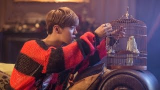 [PT-PT] LuHan - Winter Song MV
