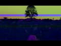 Enigma - Child in Us [1 Hour Loop] | Nostalgic Vintage Visuals