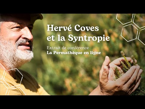 Hervé Coves et la Syntropie