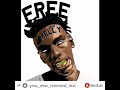 YNW Melly Catching Feelings Official Audio