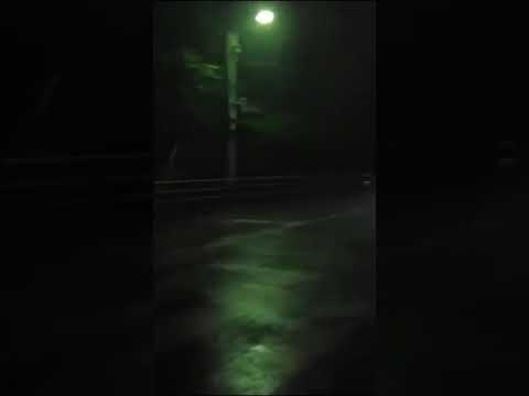 Bí Mật Bản Chất Con Người -Phân 1 -Thiên Nhai Tianya