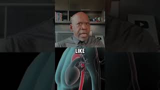 Download lagu Tori Lanez Stabbed Multiple Times! | Surgeon Explains mp3 Download lagu Tori Lanez Stabbed Multiple Times! | Surgeon Explains mp3