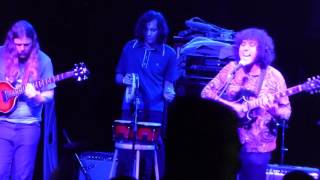 Levitation Room - Cosmic Flowers - Burger X