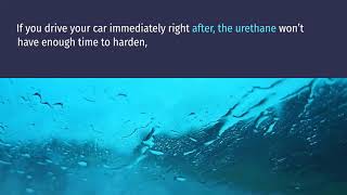 auto glass replacement