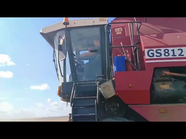 Көннәр коры торганда уңышны югалтуларсыз җыеп алу төп бурыч, ди "Дуслык" игенчеләре