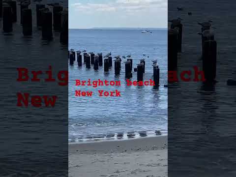 #newyork #usa #brooklyn #brightonbeach