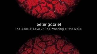 Peter Gabriel ~ Washing of the Water  (New Blood Version)
