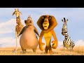 Alex Reunites With His Family Scene MADAGASCAR ESCAPE 2 AFRICA 2008 Movie CLIP HD
