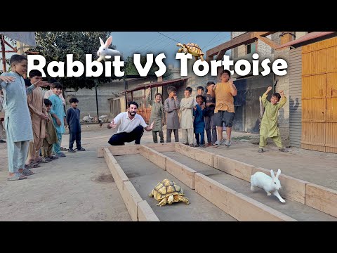 Rabbit Or Tortoise Ki Race Lgwa Di😍Kon Jeety Ga ?