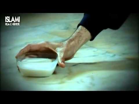 3. Butësia me kafshët ! - Seriali ''Shembulli im''