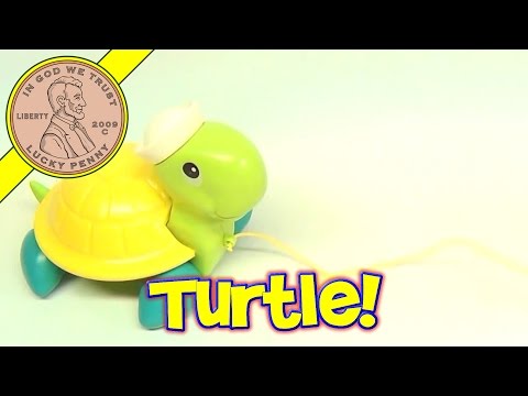 سلاحف فيشر برايس بول ألونج video
