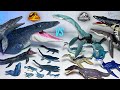 MOSASAURUS VS ELASMOSAURUS Marine Reptiles Jurassic World Dinosaurs Toys Collection Battle