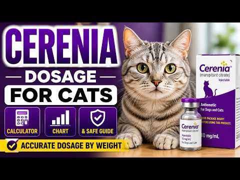 Cerenia Dosage Cats