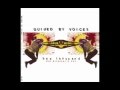Guided By Voices - Tobacco's Last Stand (I'll Buy You A Bird)