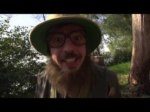 Er staat vanalles te gebeuren voor de Week van het Bos!