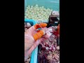 Satisfying Garlic Peeling ASMR Relaxing Hand Peeling Process