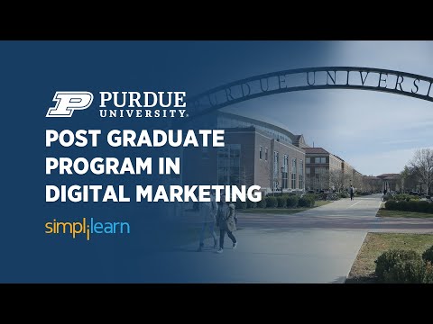 Digital Marketing In 5 Minutes | What Is Digital Marketing | Learn Digital Marketing | Simplilearn