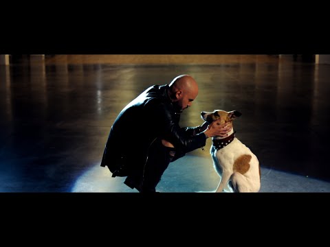 Desmod x Majself - KOMÉTA (pre Gumpa) Official Video