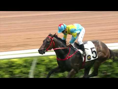 11/9/2022 (3) Victor The Winner - Matthew Poon