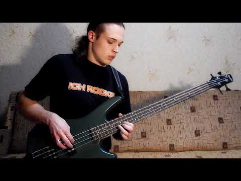 Orion ( Andriy Vasylenko Version) - Metallica