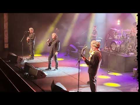 The Hollies - Live at Palladium London. November  2023