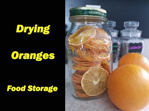 download lagu mp3 mp4 Can You Eat Dehydrated Orange Slices, download lagu Can You Eat Dehydrated Orange Slices gratis, unduh video klip Can You Eat Dehydrated Orange Slices