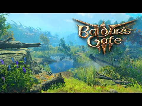 Baldur's Gate 3 | Forest & Underdark Ambience, no Music