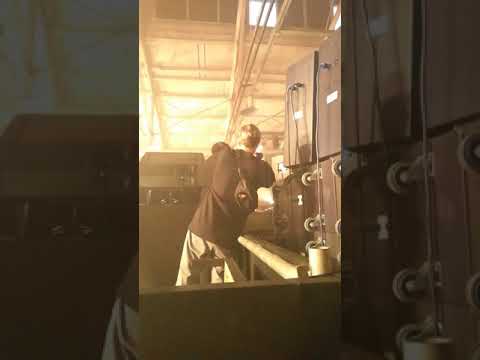 Present perfect festival 2018