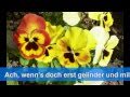 KARAOKE --- ZUM MITSINGEN 06: Komm, lieber ...